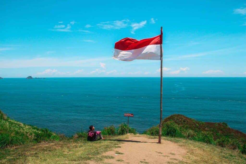 bolsas de nicotina indonesia