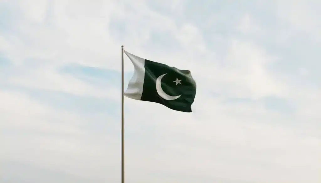 pakistan velo snus nicotine pouches