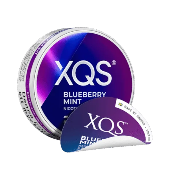 xqs blueberry mint slim