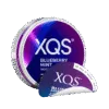 xqs blueberry mint slim strong