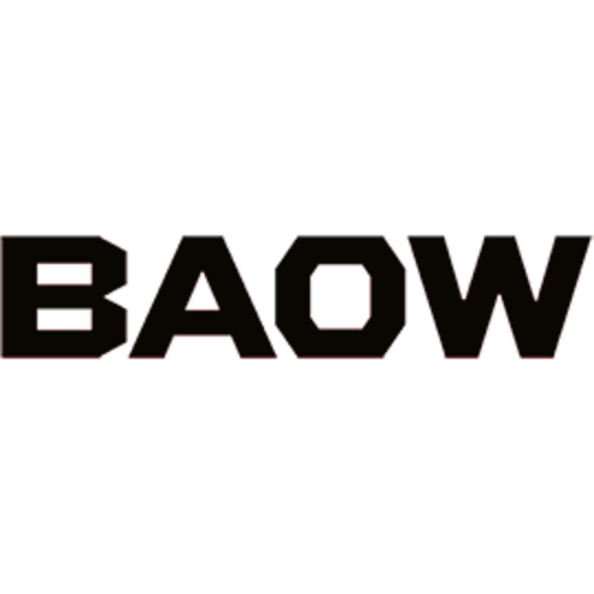 BAOW LOGO
