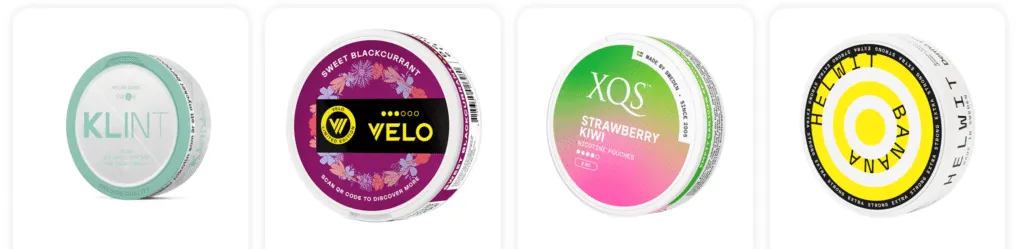 flavored nicotine pouches
