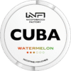 cuba white watermelon front